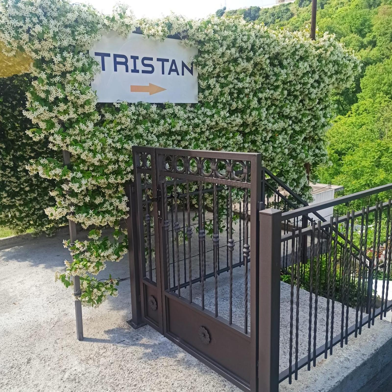 Apartman Tristan Herceg Novi Exterior foto